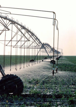 Cropland Irrigation Management